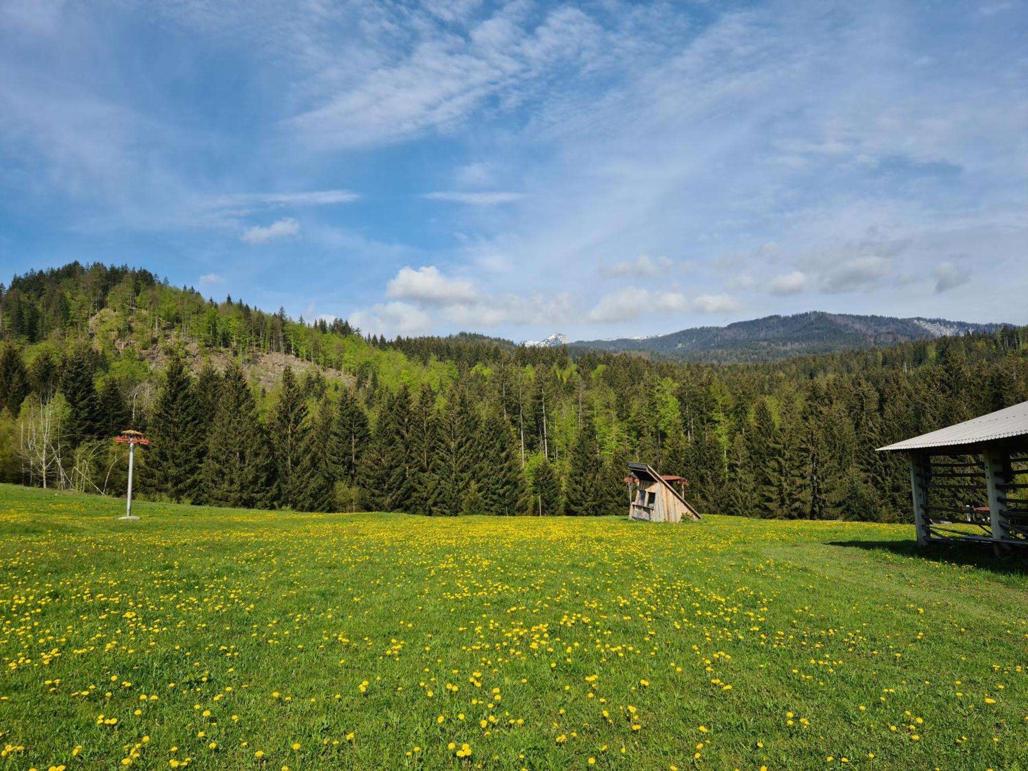 Apartments Anz'K Блед Экстерьер фото